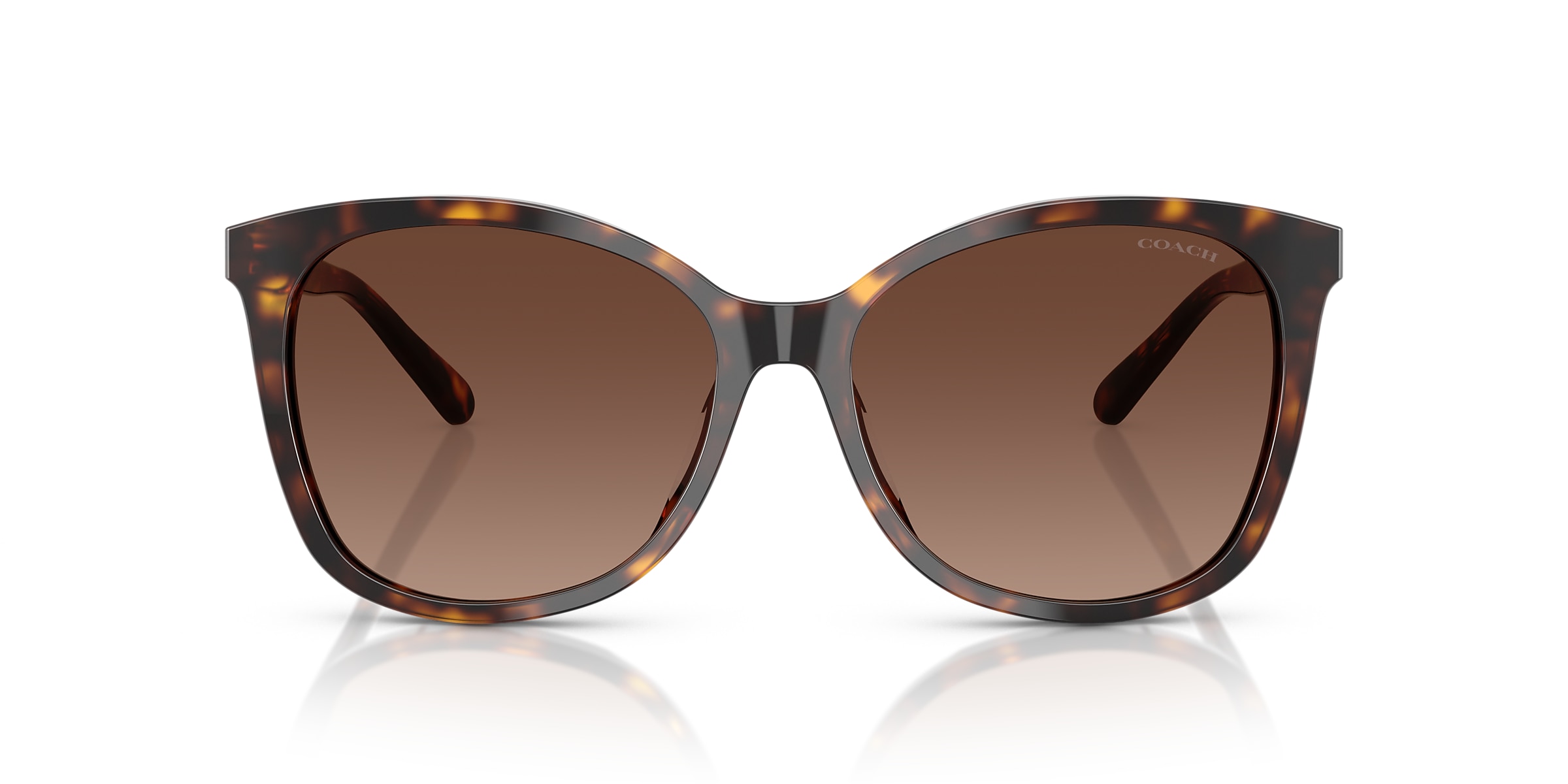 Coach Sunglasses HC8271U L1101