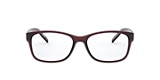 Arnette Glasses AN7180 MOMOCHI