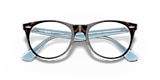 RB2185V WAYFARER II OPTICS