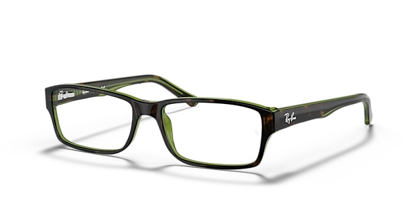 RB5169 OPTICS