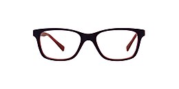 Clearly Glasses FRY