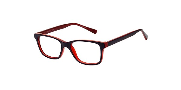 Clearly Glasses FRY
