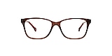 Clearly Glasses TWILLINGATE