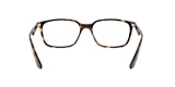 RB7176 OPTICS