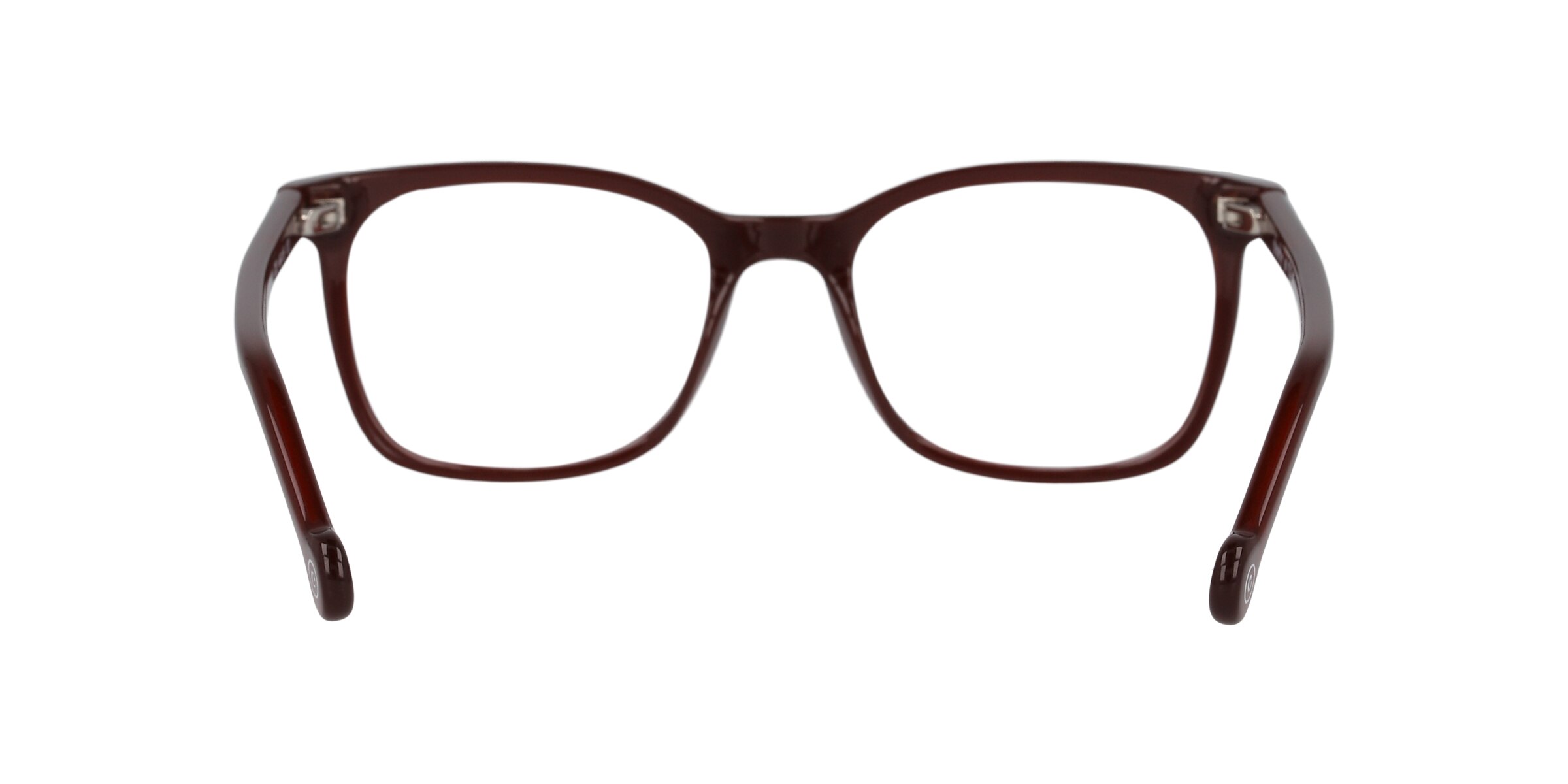 Clearly Glasses LION