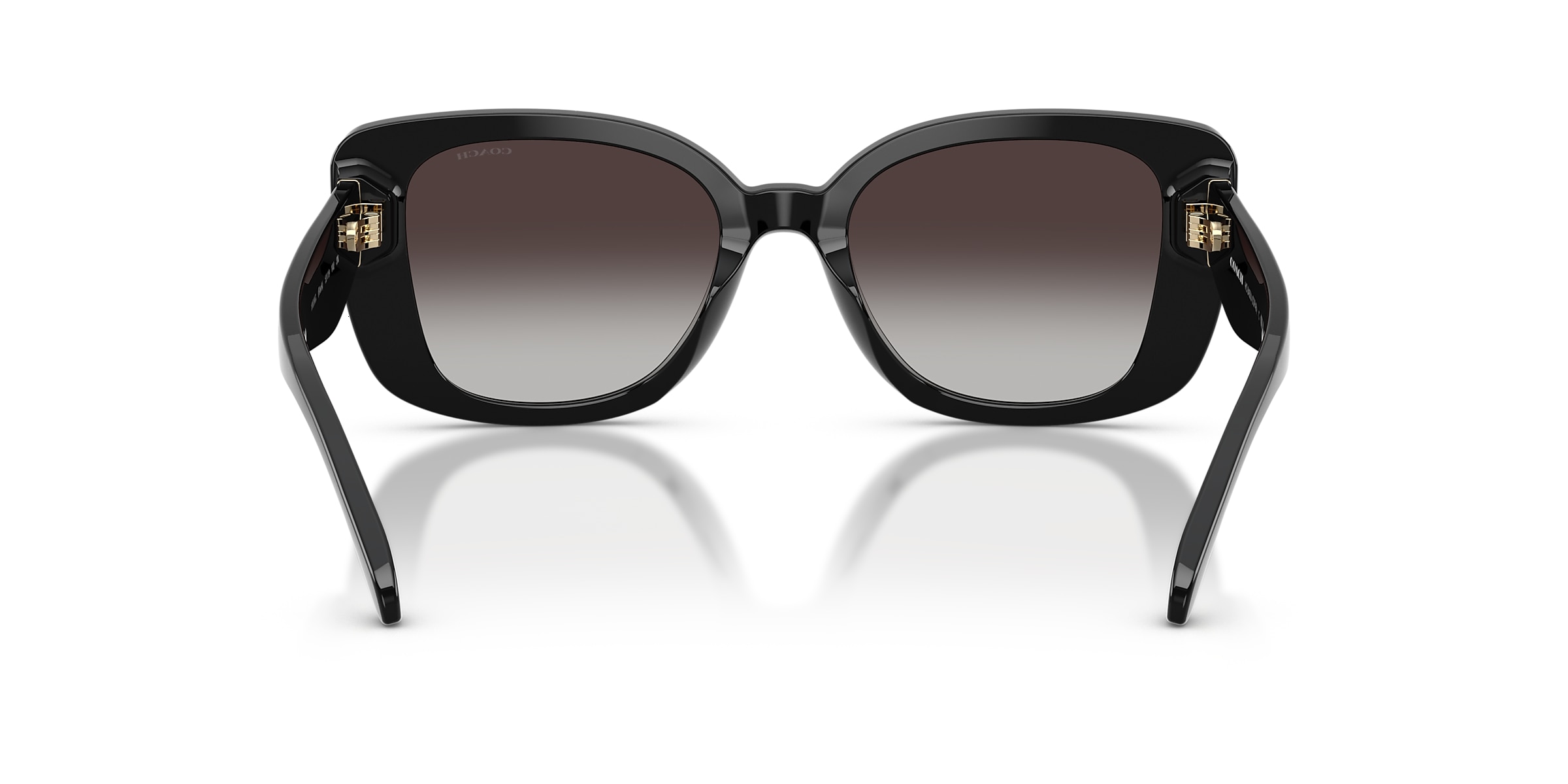 Coach Sunglasses HC8450U CDP48