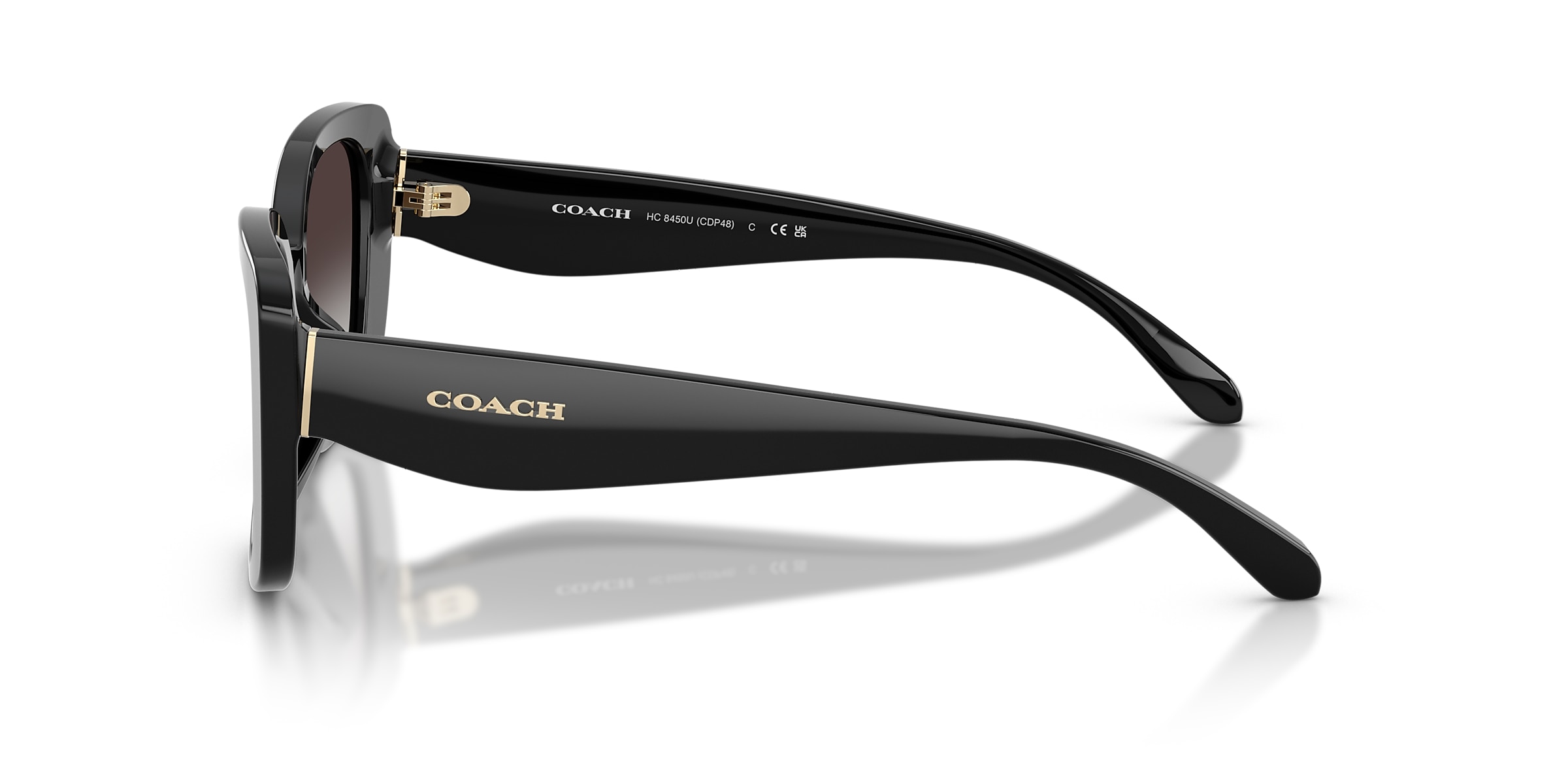 Coach Sunglasses HC8450U CDP48