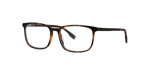 Clearly Glasses FOXTAIL