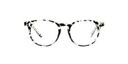 clearly Glasses joey