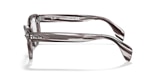 RB0880 OPTICS