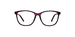Clearly Glasses FORTUNE