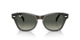 RB0707S