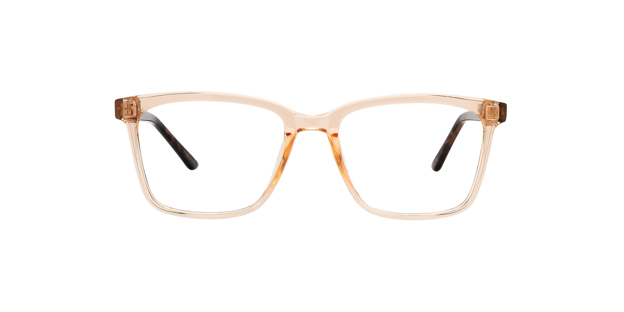 Clearly Glasses BURIN