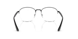 RB6487 OPTICS