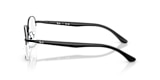 RB6487 OPTICS