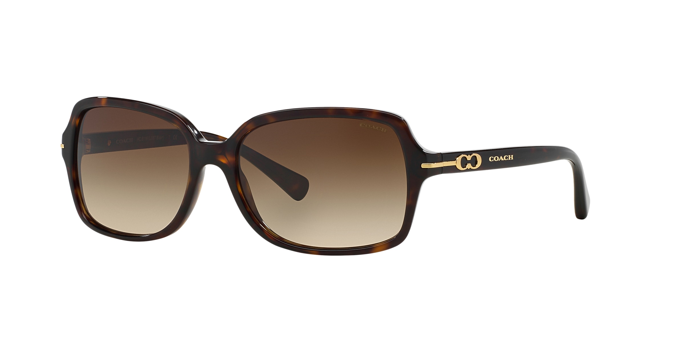 Coach Sunglasses HC8116 L087 BLAIR