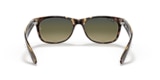 RB2132 NEW WAYFARER CLASSIC