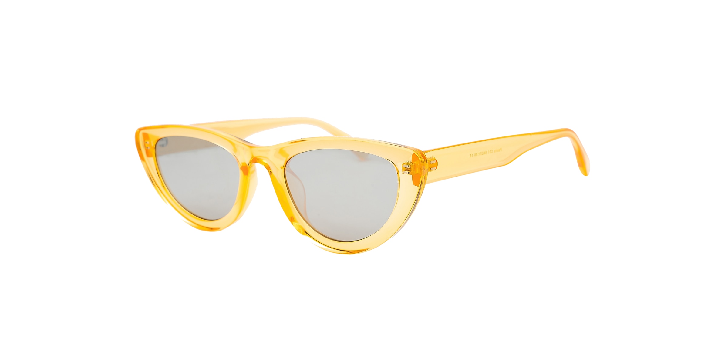 Clearly Sunglasses PAINTS