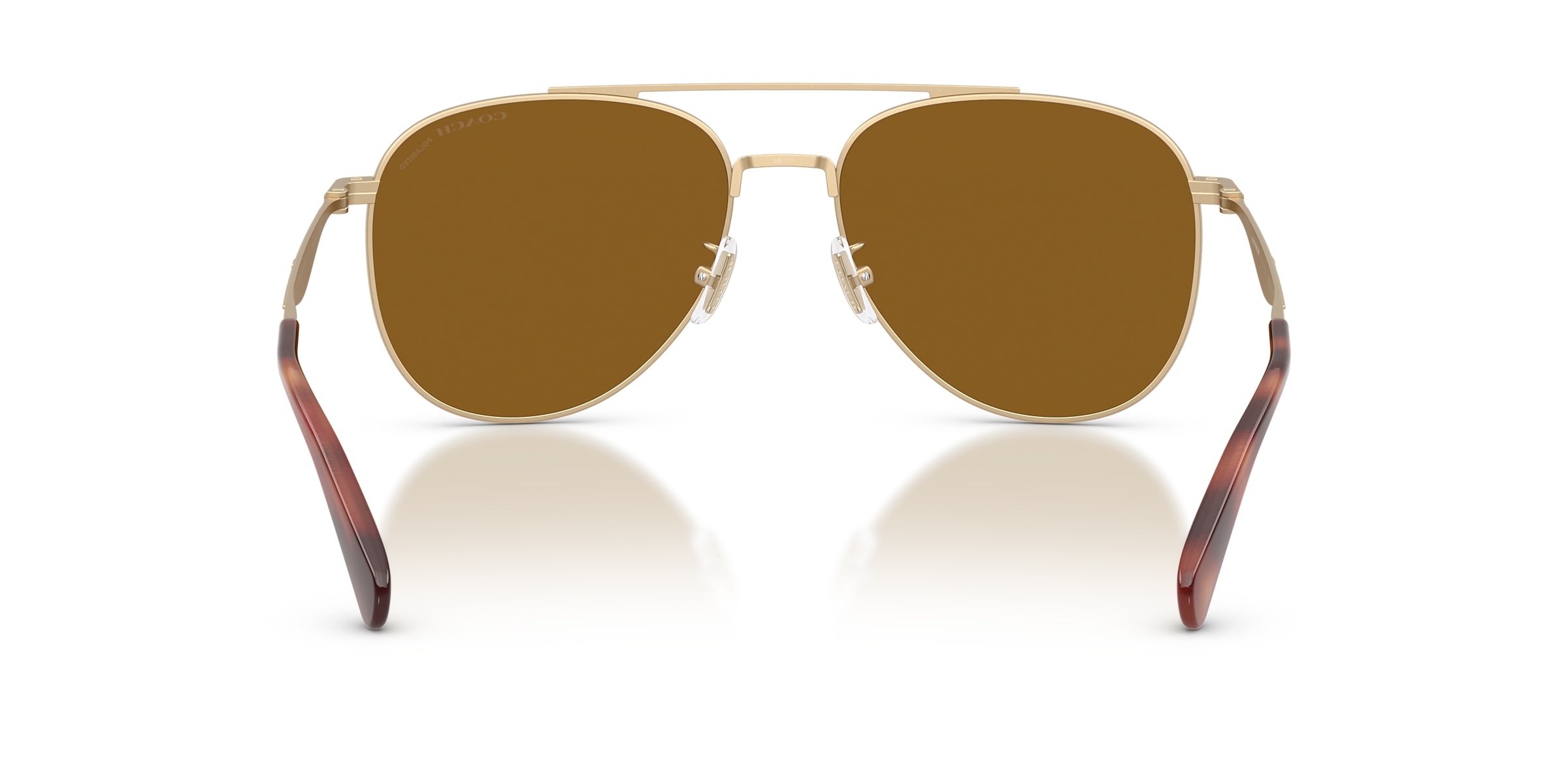 Coach Sunglasses HC7190 CDP40