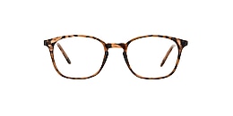 clearly Glasses kensington