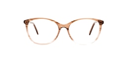 clearly Glasses ascella