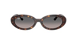 Ray-Ban Sunglasses RB2223