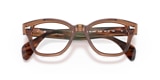 RB0880 OPTICS