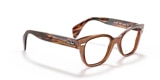 RB0880 OPTICS