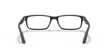 RB5277 OPTICS