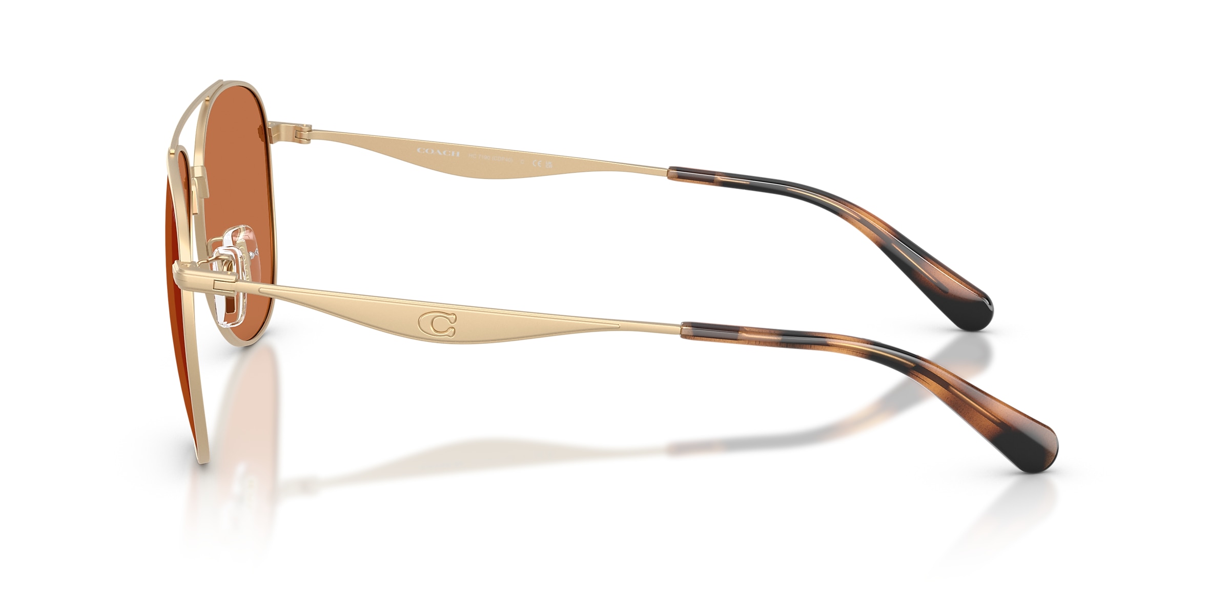 Coach Sunglasses HC7190 CDP40