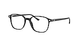 RB5393 LEONARD OPTICS