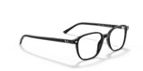 RB5393 LEONARD OPTICS