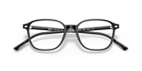 RB5393 LEONARD OPTICS
