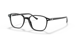 RB5393 LEONARD OPTICS