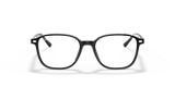 RB5393 LEONARD OPTICS