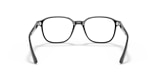 RB5393 LEONARD OPTICS