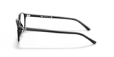 RB5393 LEONARD OPTICS