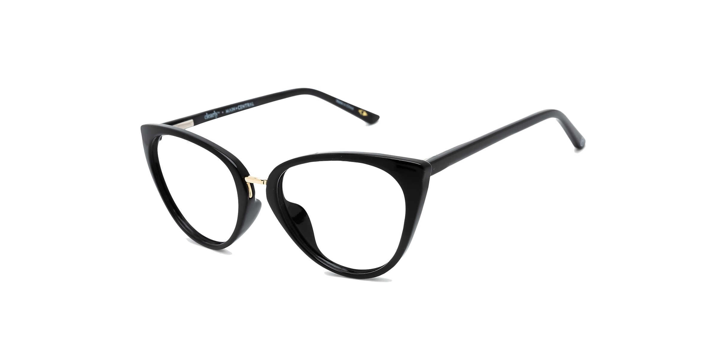 Clearly Glasses POOLER