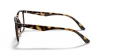 RB7177F RB7177 OPTICS