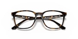 RB7177F RB7177 OPTICS