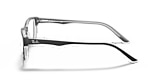 RB5245 OPTICS