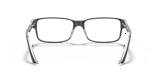 RB5245 OPTICS