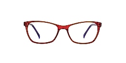 Clearly Glasses TREPASSEY