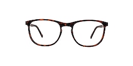 reincarnate Glasses magpie