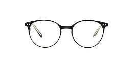 clearly Glasses foal