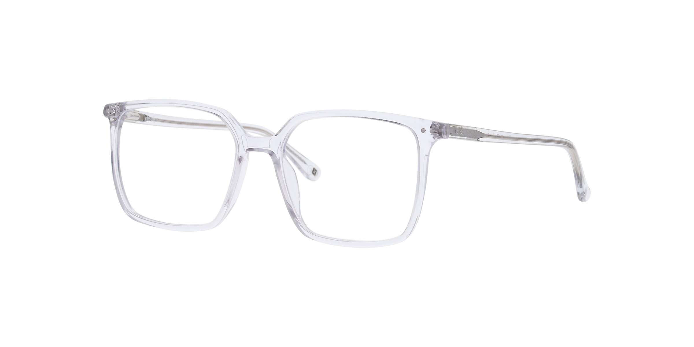 Clearly Glasses HERMIPPE