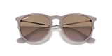 RB4171 ERIKA CLASSIC