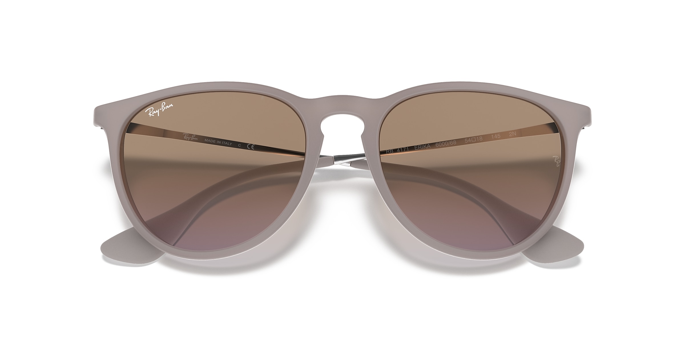 Ray-Ban Sunglasses RB4171 ERIKA CLASSIC