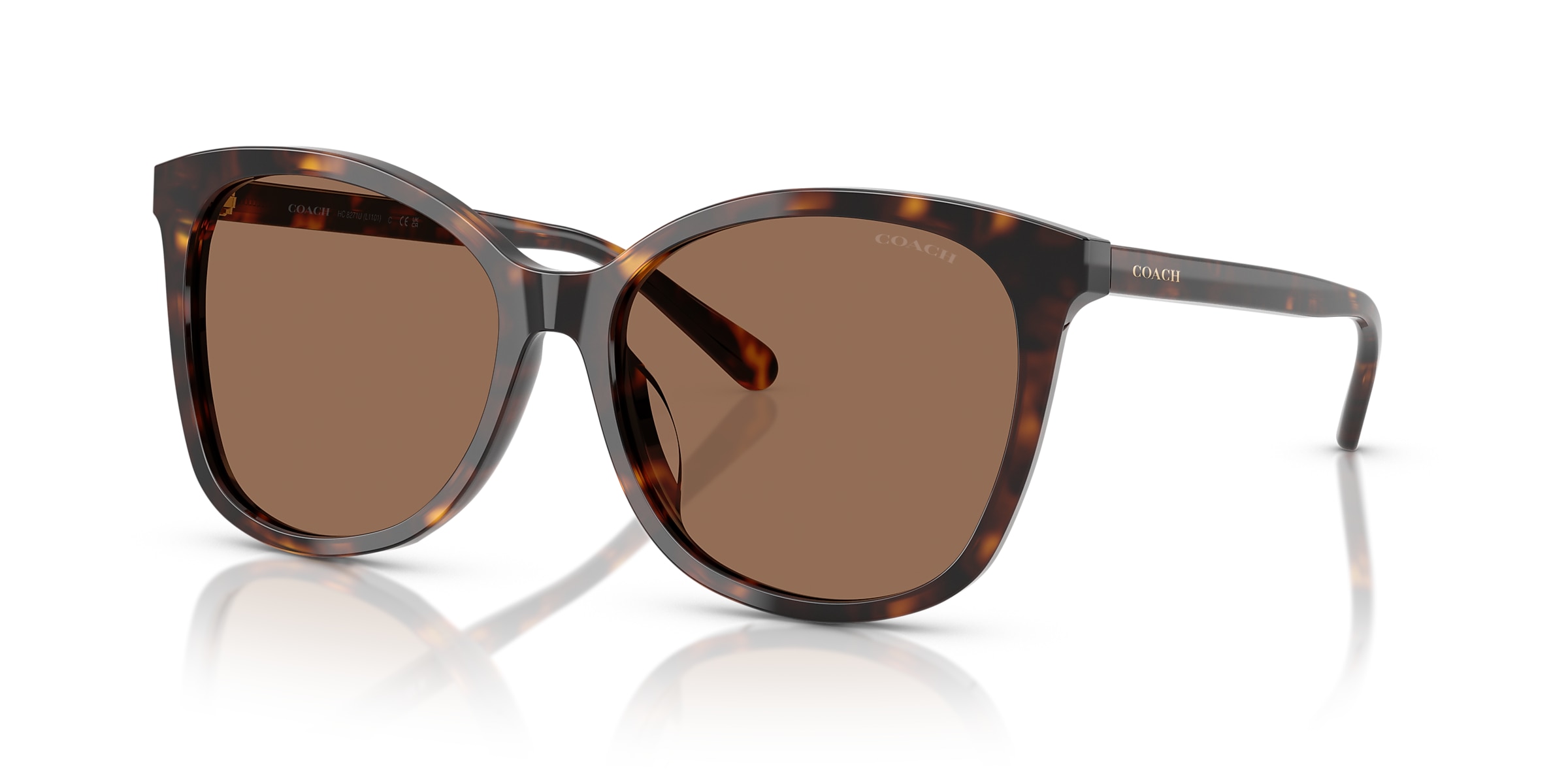 Coach Sunglasses HC8271U L1101