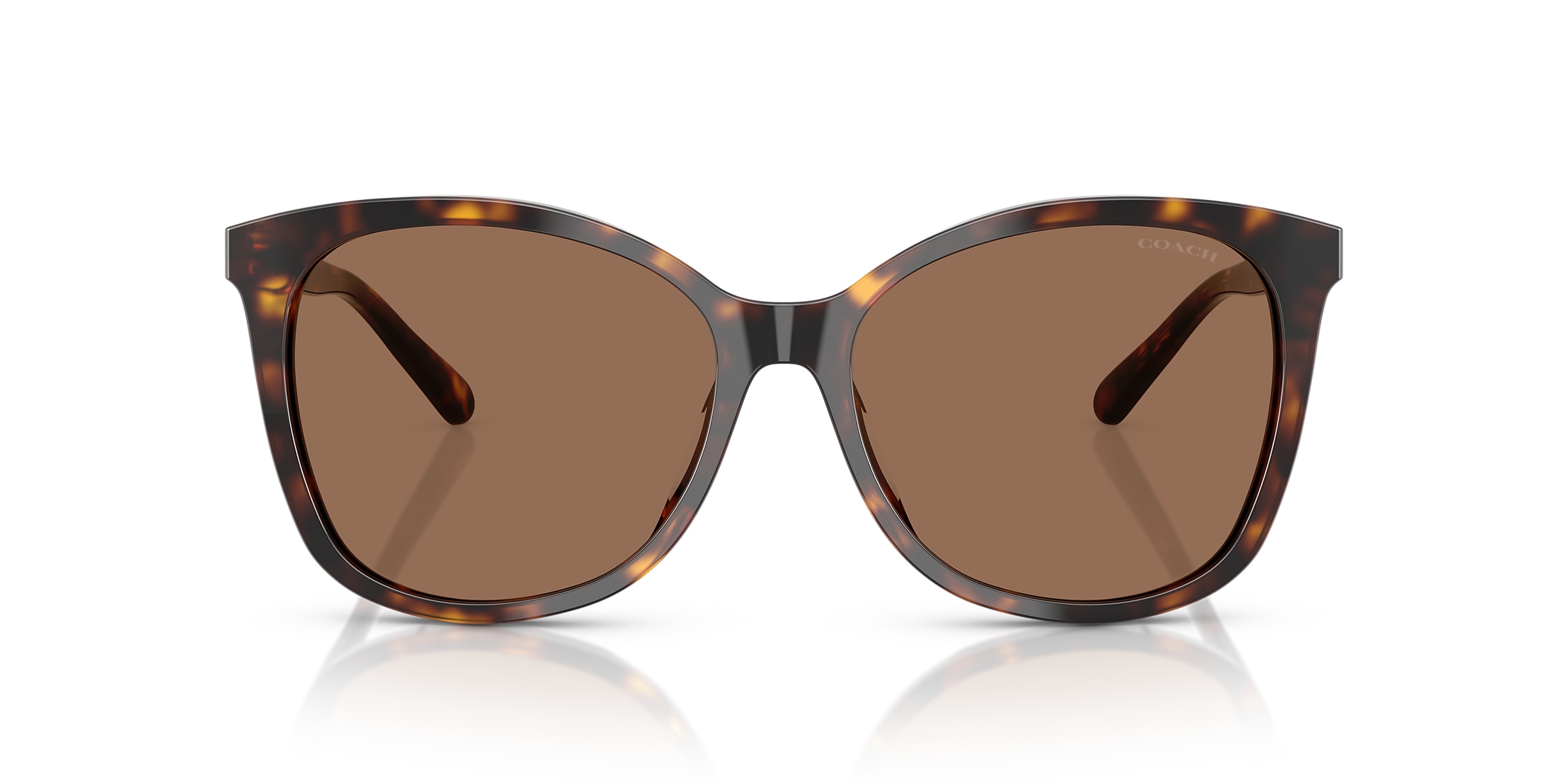 Coach Sunglasses HC8271U L1101